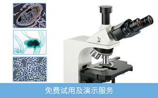 荧光显微镜 金相显微镜 北京测维光电仪器厂